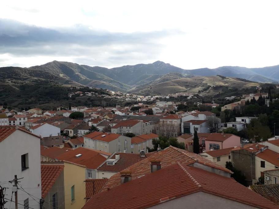 Banyuls La Grande Bleue : Studio T1 Exterior photo