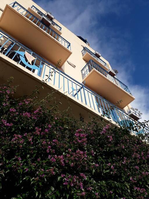 Banyuls La Grande Bleue : Studio T1 Exterior photo